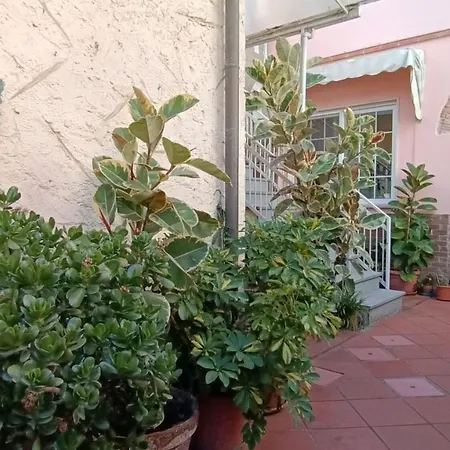 Comfy Flat Near The Apartment