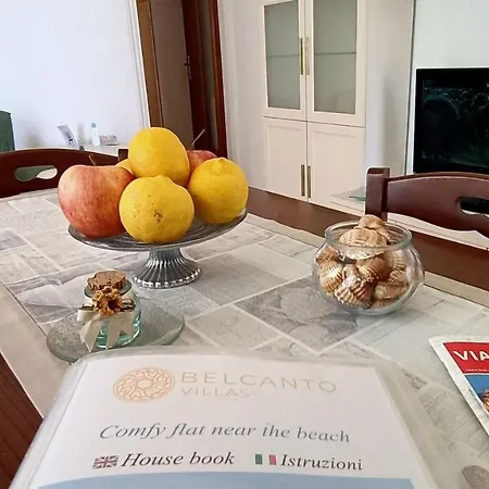 Apartment Comfy Flat Near The Torre del Lago Puccini